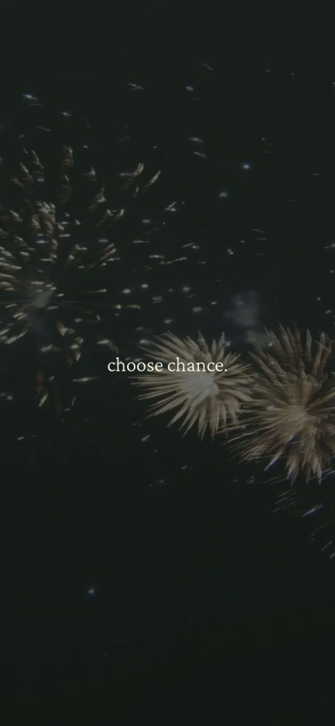 screen 83