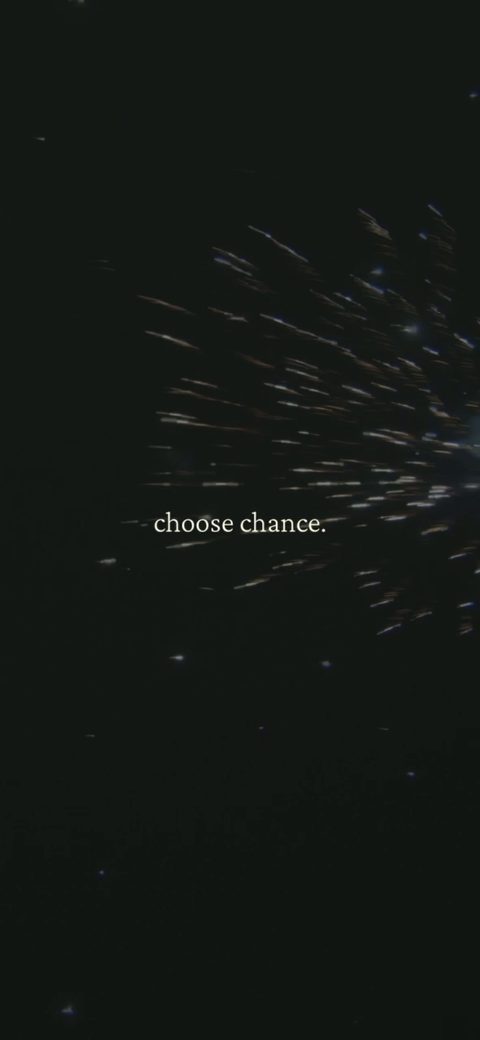 screen 81