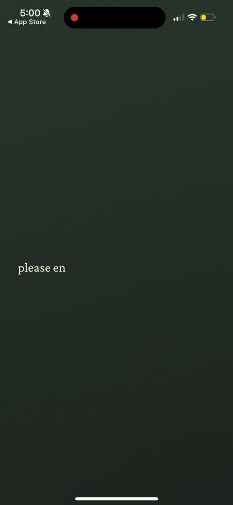 screen 97