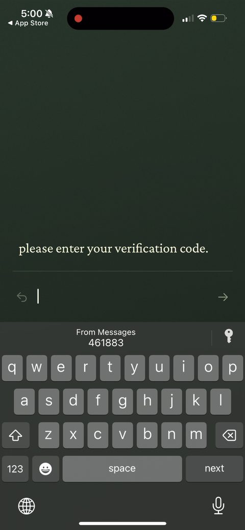 screen 98