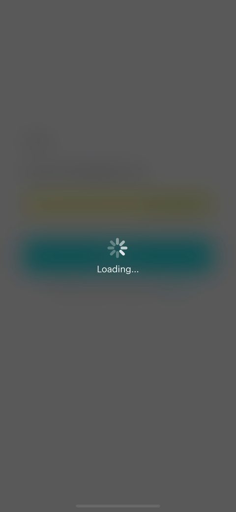 screen 24