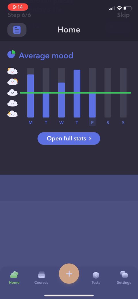 screen 24