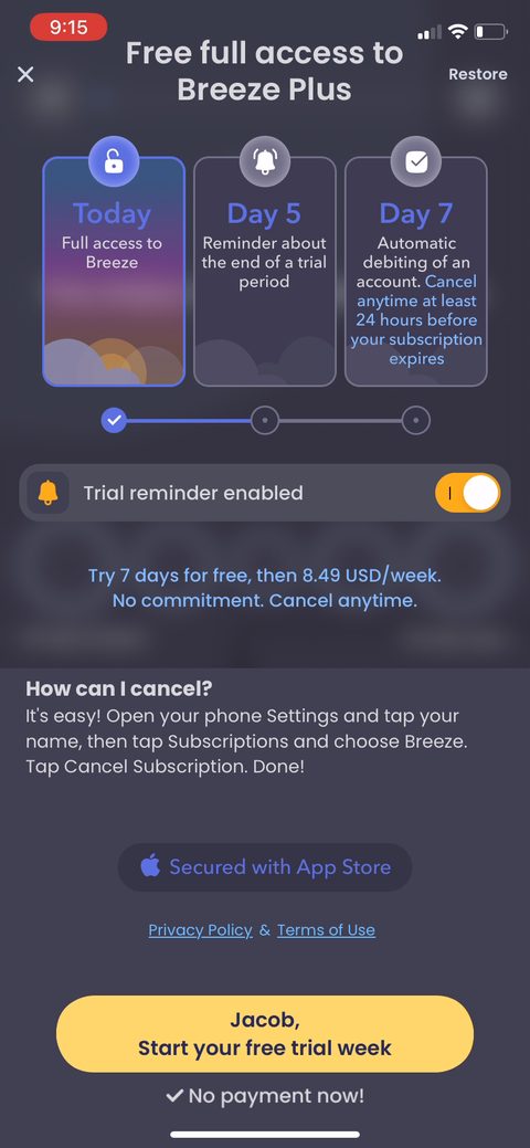screen 31