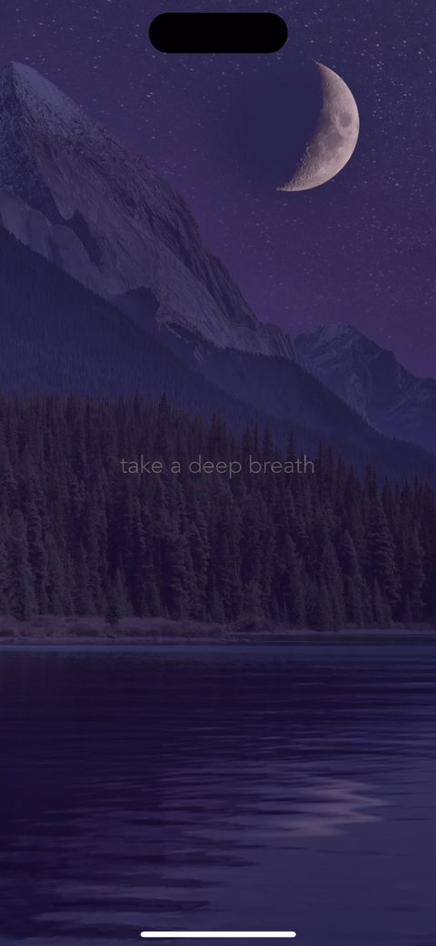 screen 4