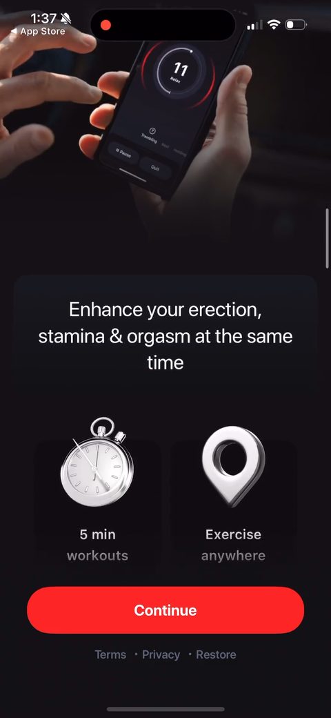 screen 66