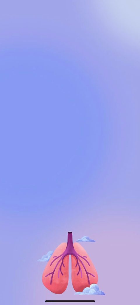 screen 50