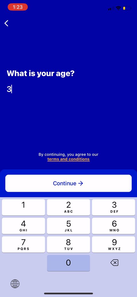 screen 23