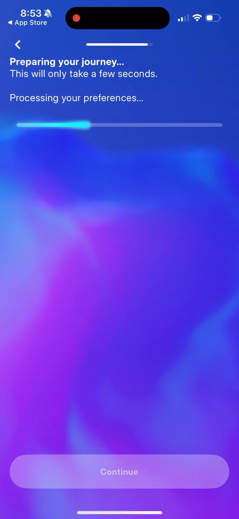screen 31