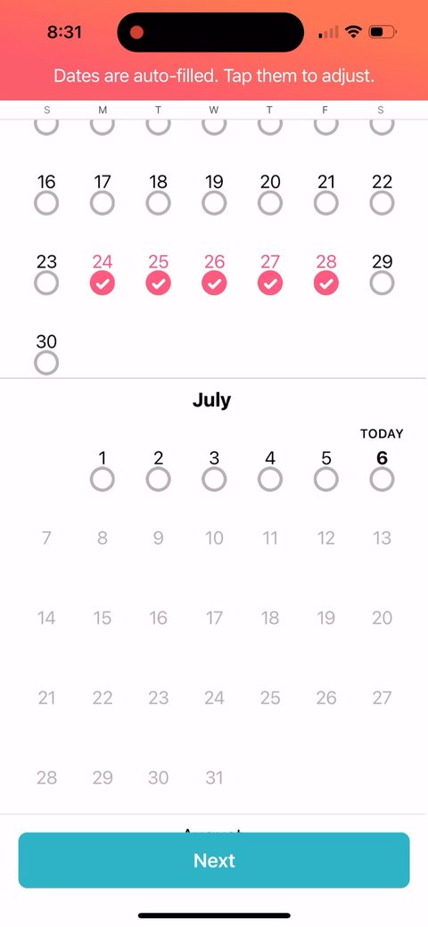 screen 31