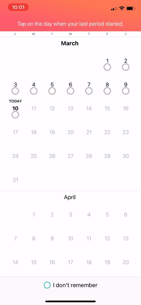 screen 31