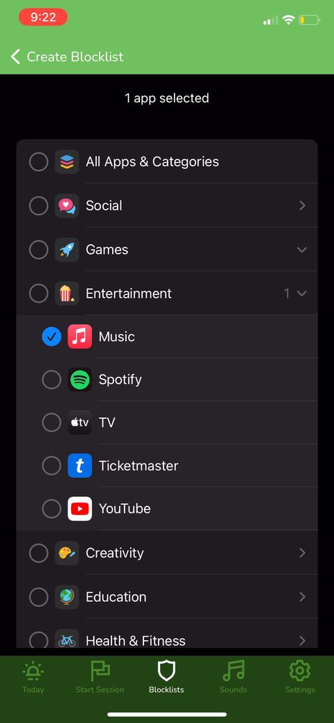 screen 31