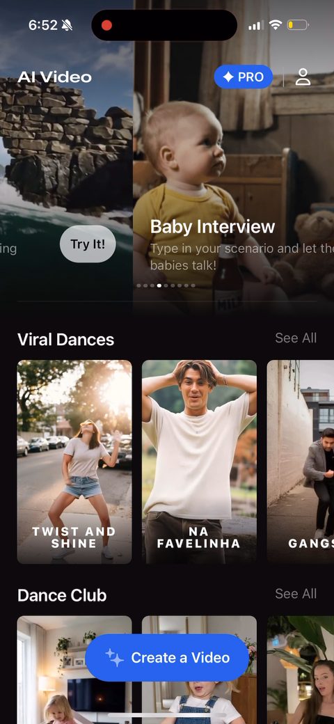 screen 24