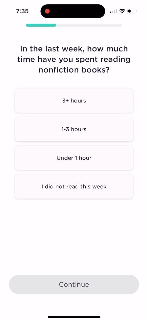 screen 13