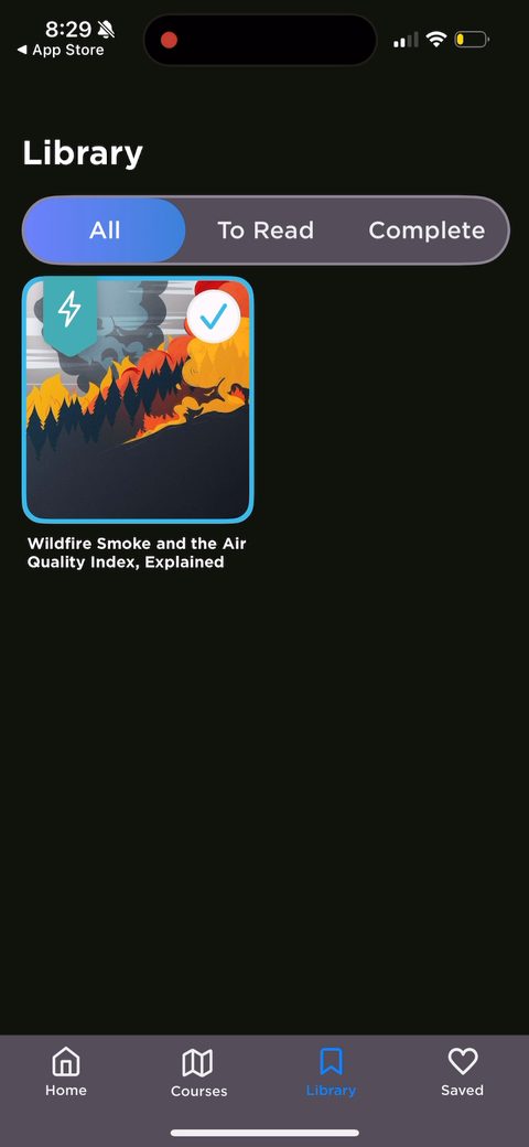 screen 81