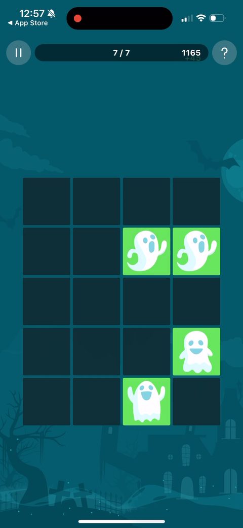 screen 66