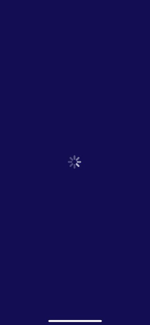 screen 28