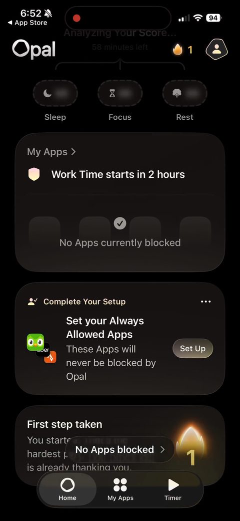 screen 113