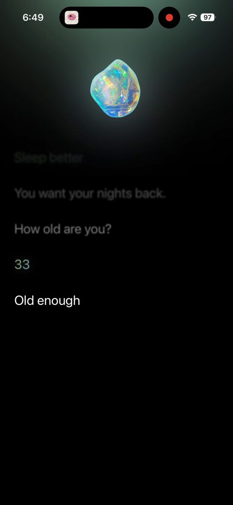screen 21
