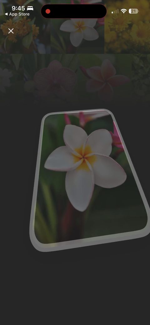 screen 21