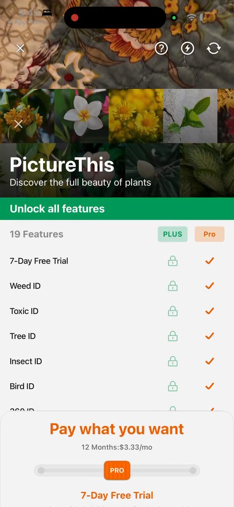 screen 43