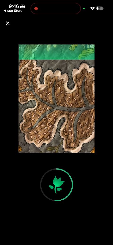 screen 52