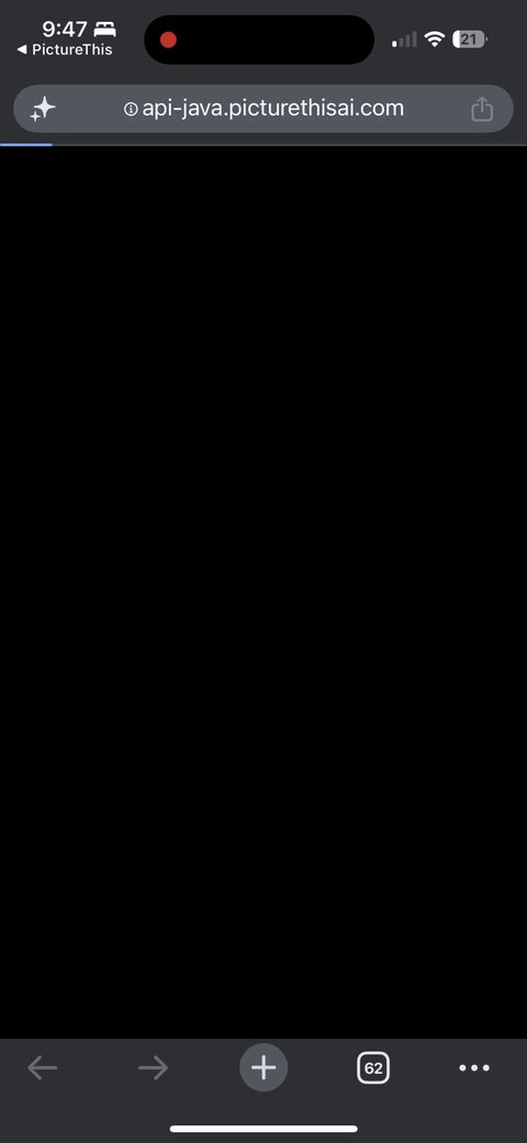 screen 65