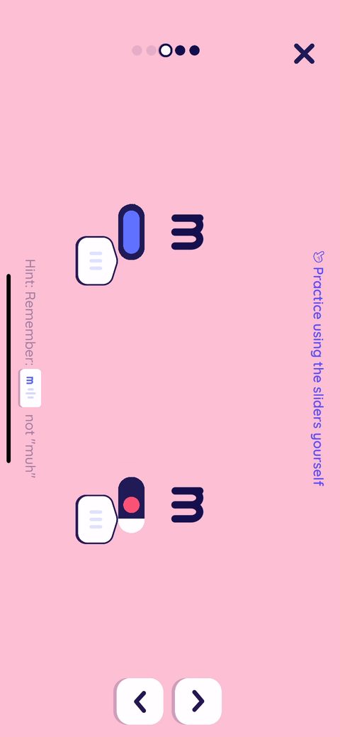 screen 81