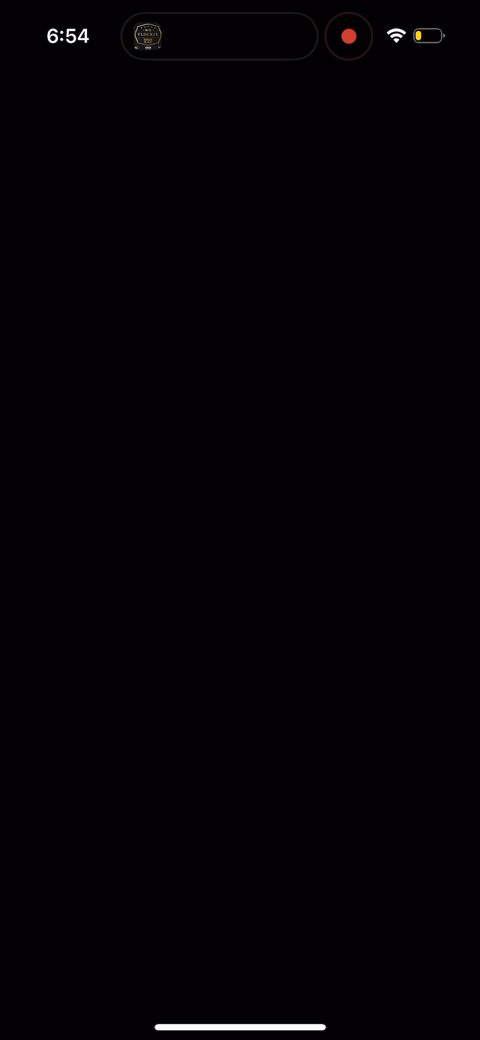 screen 17