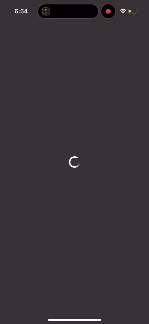 screen 19