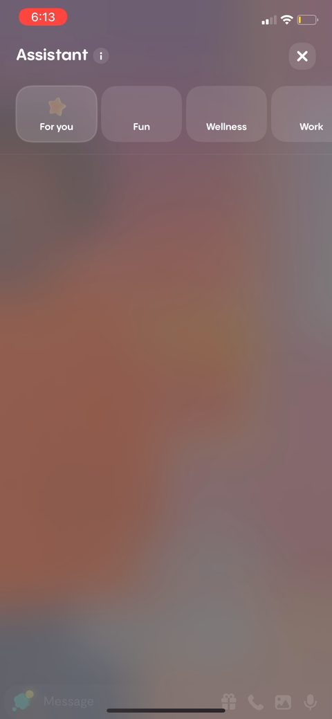 screen 113