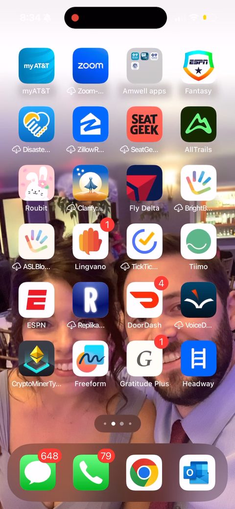 screen 31