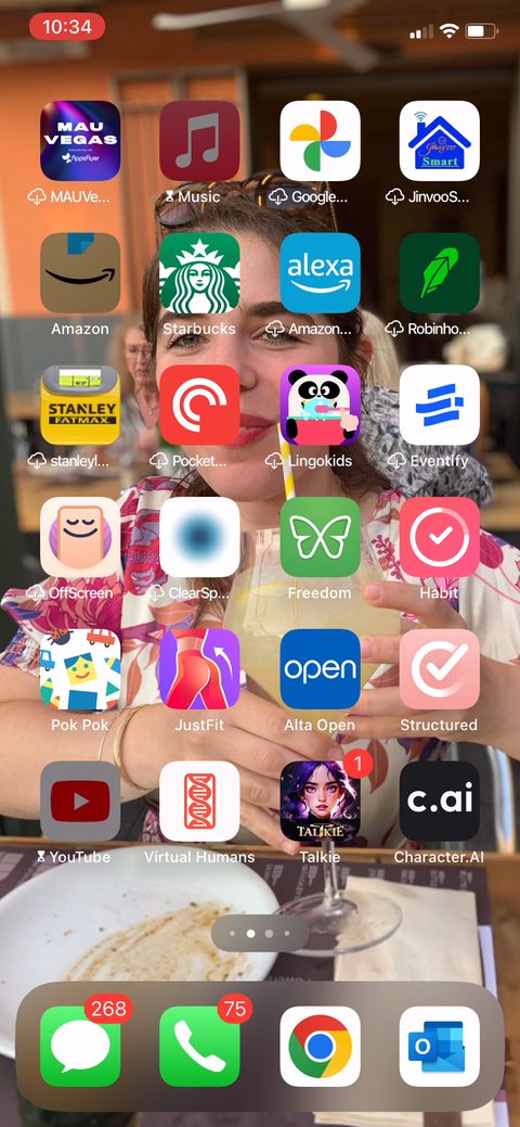 screen 81