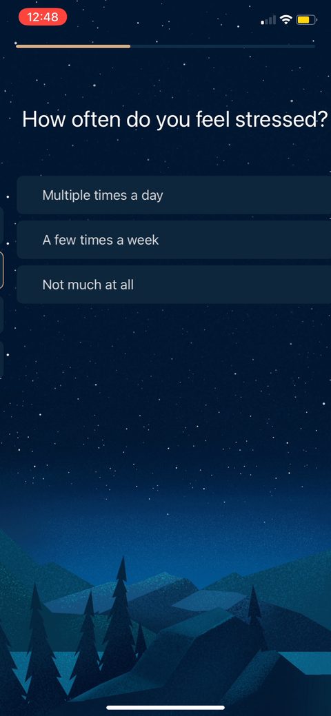 screen 12