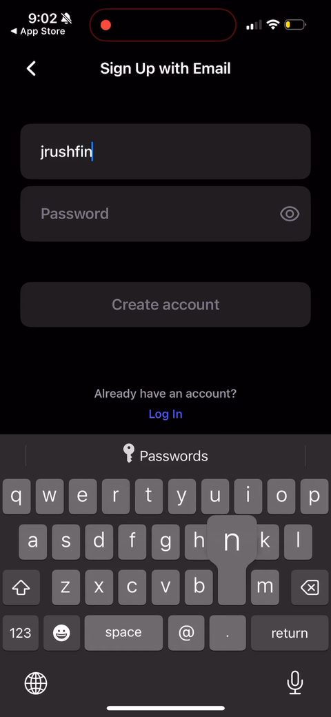 screen 113
