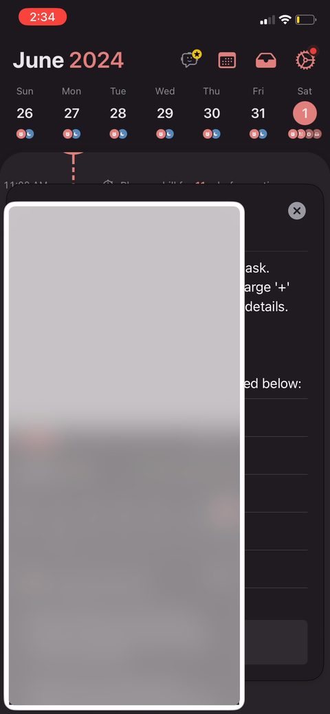 screen 24
