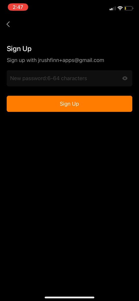 screen 21