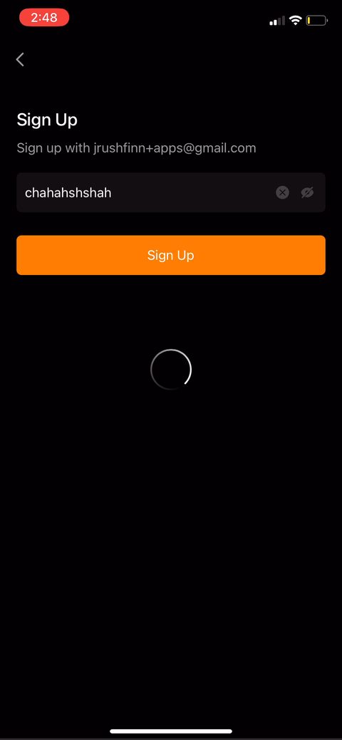 screen 26