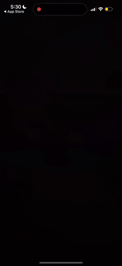 screen 121