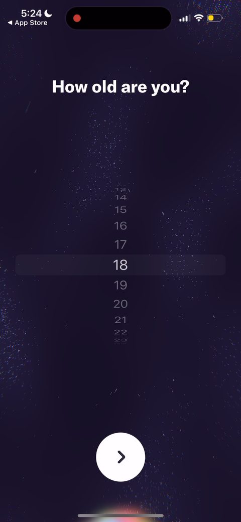 screen 20