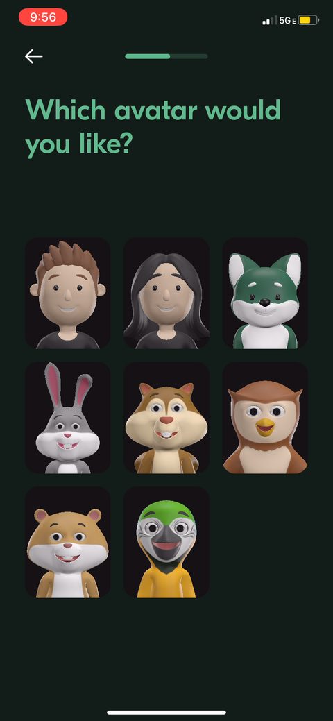 screen 13
